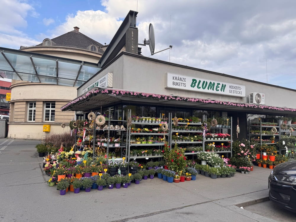 Blumen Saller Geschäft